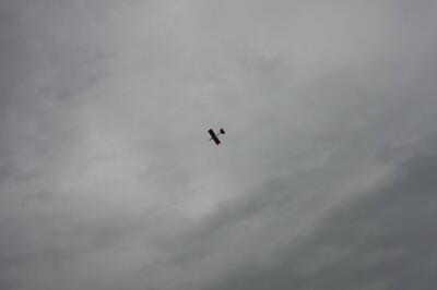 IMG 0794